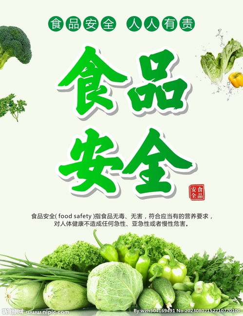 食品安全設(shè)計圖