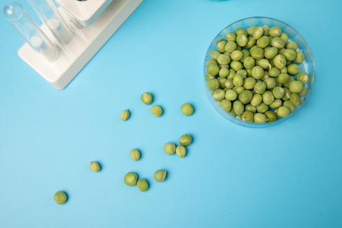 嫩豌豆食品安全農(nóng)業(yè)科技食品培育攝影圖 插畫 下載至來源處