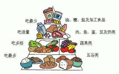 合理膳食,倡導健康生活方式倡議書